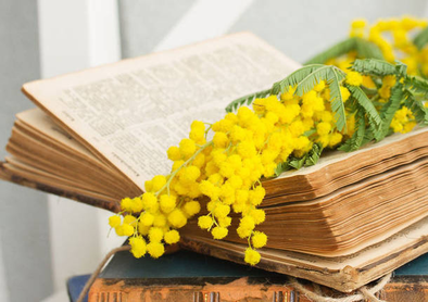 8 MARZO AUGURI A TUTTE LE DONNE